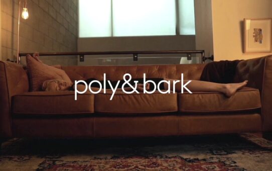 "A Long Day" The Essex Sofa from Poly and Bark
